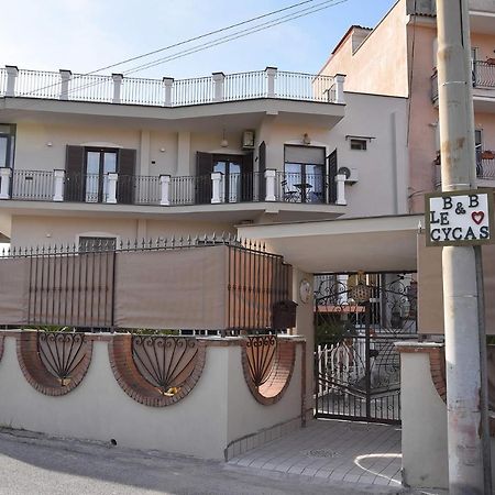 B&B Le Cycas Castellammare di Stabia Exteriör bild