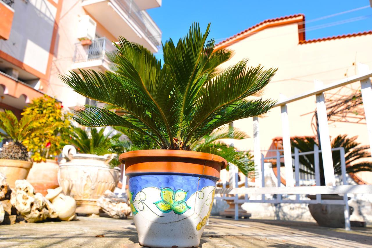 B&B Le Cycas Castellammare di Stabia Exteriör bild
