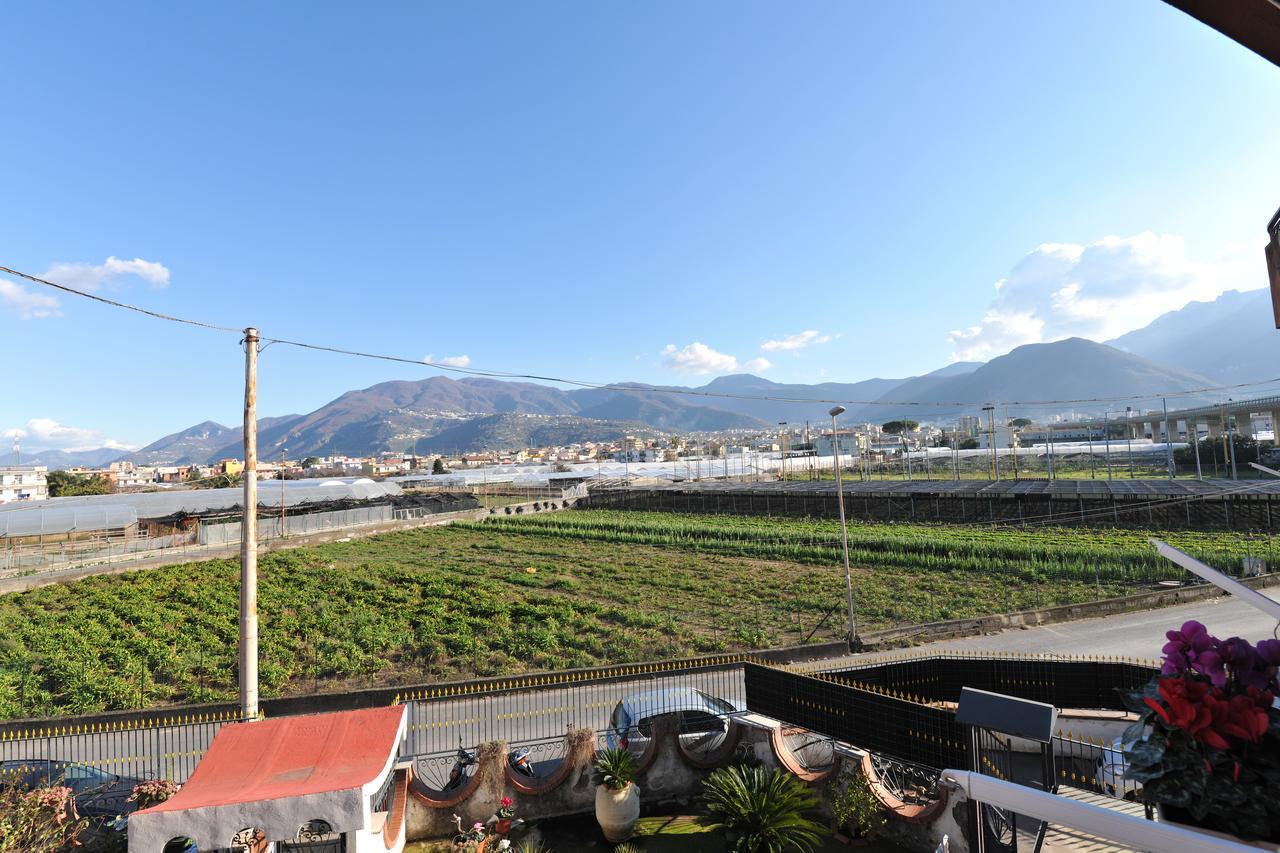 B&B Le Cycas Castellammare di Stabia Exteriör bild