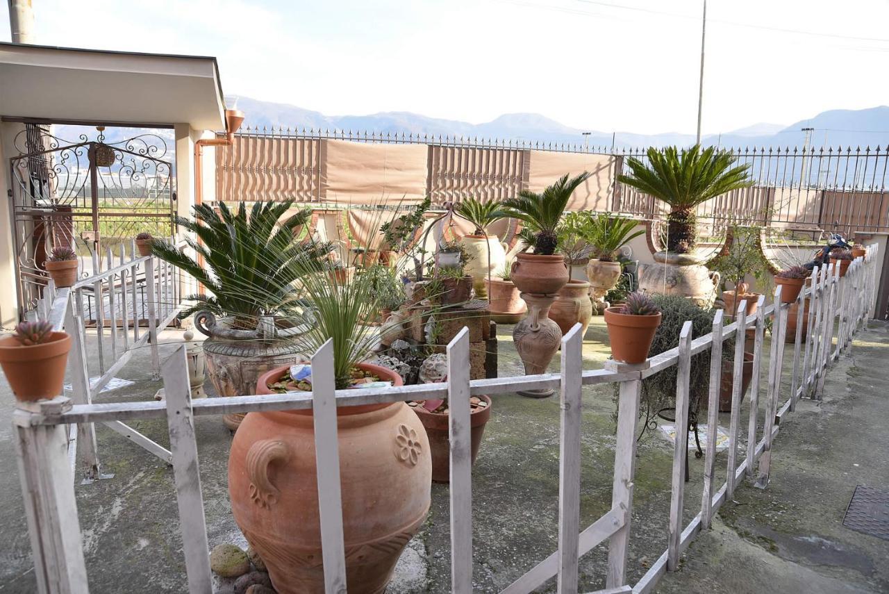B&B Le Cycas Castellammare di Stabia Exteriör bild