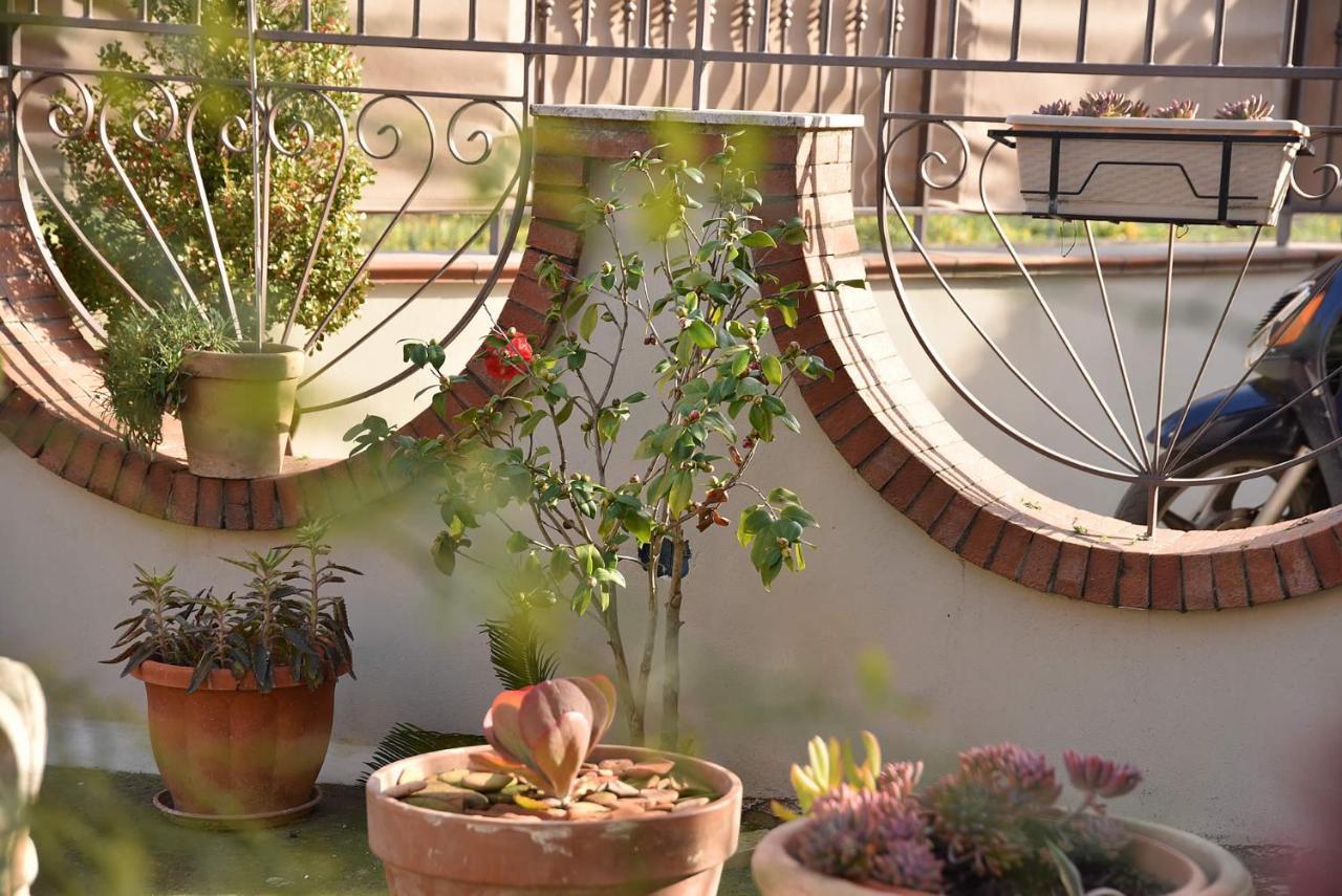 B&B Le Cycas Castellammare di Stabia Exteriör bild